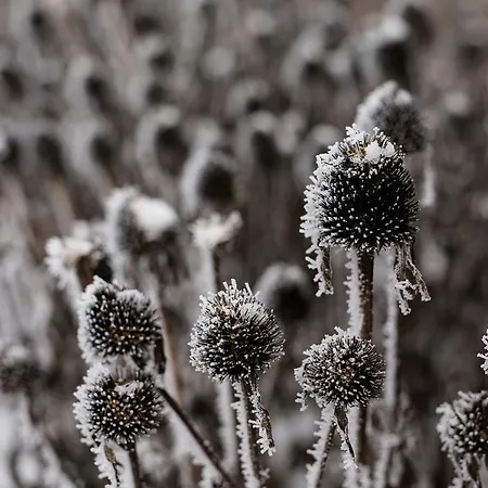 דירה Nad Jeziorem *